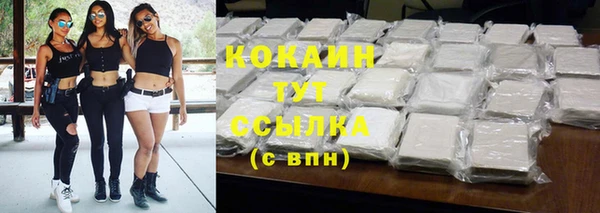 прущие грибы Армянск