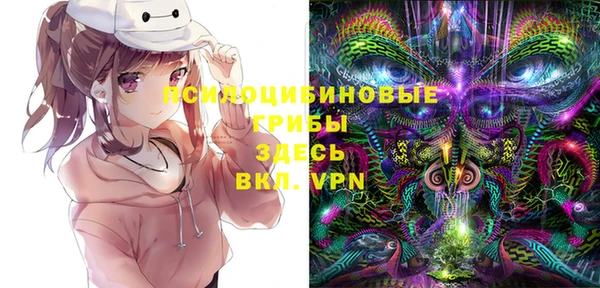 бошки Аркадак