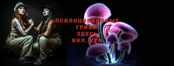 прущие грибы Армянск