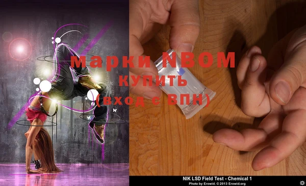 молекула духа Балахна