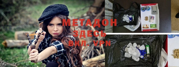 прущие грибы Армянск