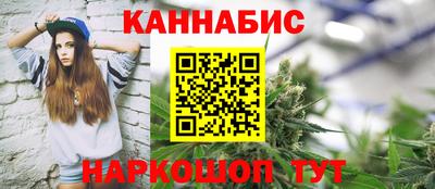 бошки Гатчина