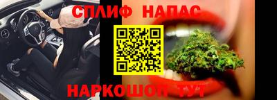 бошки Гатчина