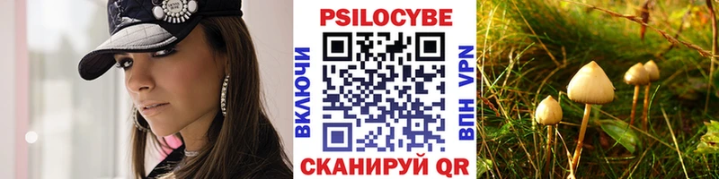 Псилоцибиновые грибы прущие грибы  купить наркотики сайты  Спасск-Дальний 