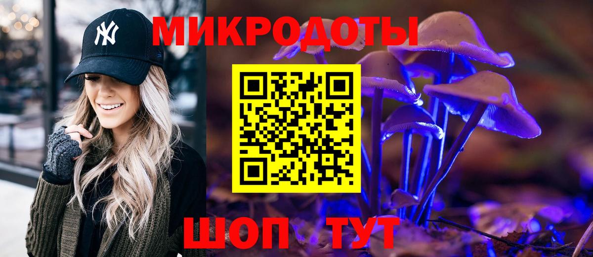 Псилоцибиновые грибы Magic Shrooms  где купить наркоту  Спасск-Дальний  Вход с VPN 
